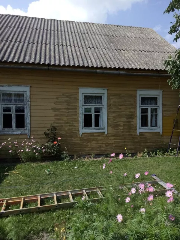 Покраска всех типов деревянных домов в Новогрудке. Мойка крыш  5